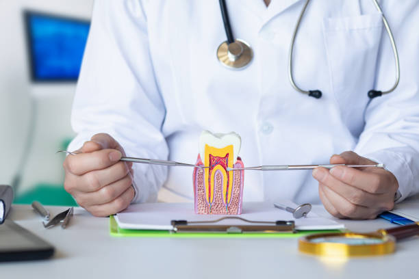 Best Emergency Dentist for Lost Fillings or Crowns in Beaufort, SC